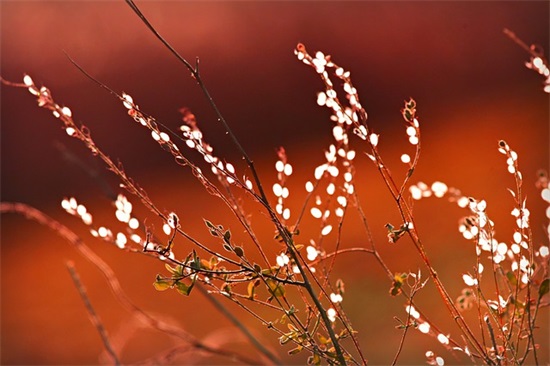 有内涵大气的公司名字参考300个，大气寓意好的公司起名大全