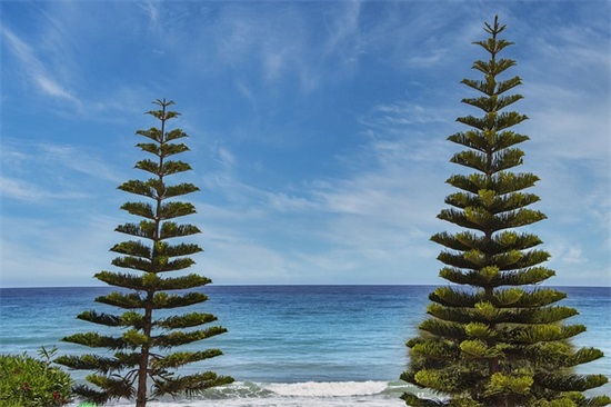 手机通讯公司起名大全，创意好听的通信公司名字