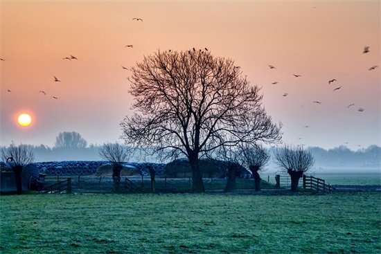 大气寓意好的公司名字220个，开公司寓意比较好的名字有哪些