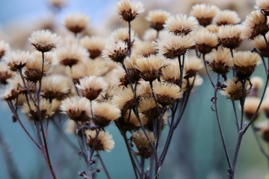 关于早安的说说 关于早安的唯美句子