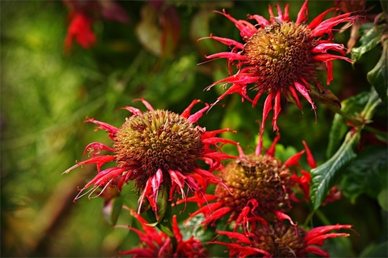 商贸公司名字大全集最新 有创意的商贸公司名字