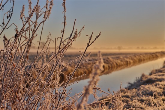 洋气的外贸公司名称大全 响亮大气的外贸公司名字