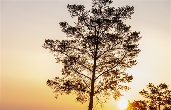 公司新名称起名大全310个，想成立公司起什么名字好