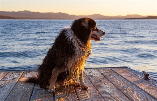 女孩起名字大全免费