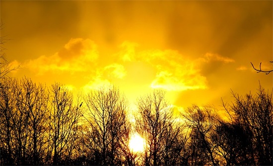 女宝宝的名字,给小孩取个好名字