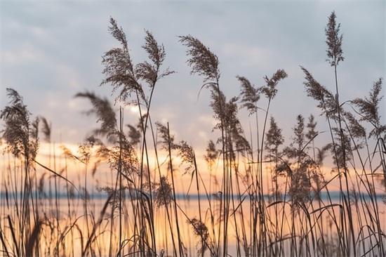 陈氏吉字辈起名