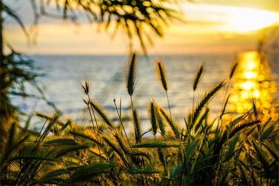 爱情错过名言75句