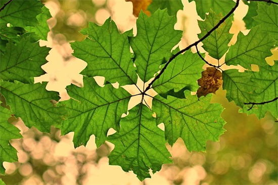 关于名人名言 关于名人名言