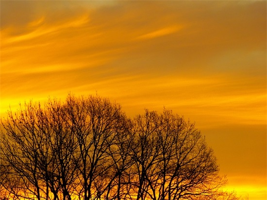 目标的英语名言