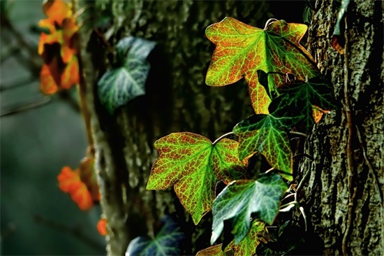 2025年烈士纪念日名言警句