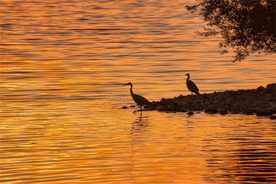 名人名言励志警句95句