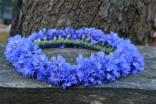 比尔盖茨励志名言