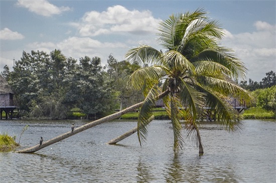 经典名人名言短句110句