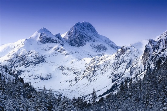 生僻而惊艳的情侣名