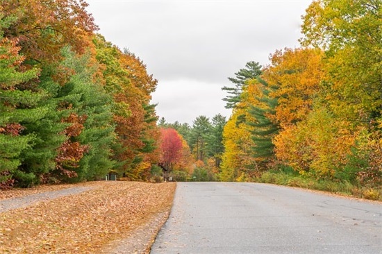 有创意的印刷厂名字大全 大气新颖的印刷公司名字