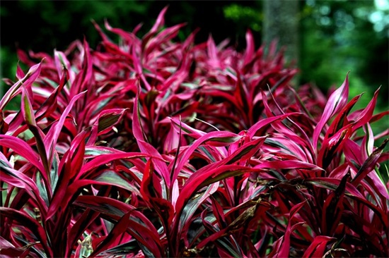 软件公司取名字参考大全 好听有创意的软件公司名字