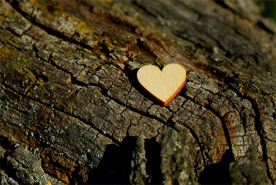 好听的公司起名参考406个，好听吉祥的公司名字大全