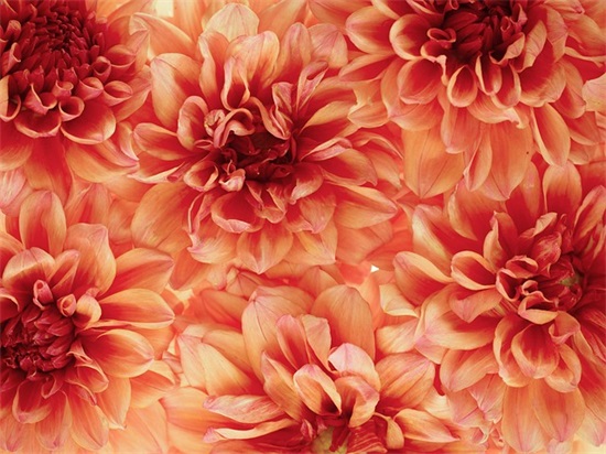 公司取名字参考大全390个，比较好听大气的公司名字