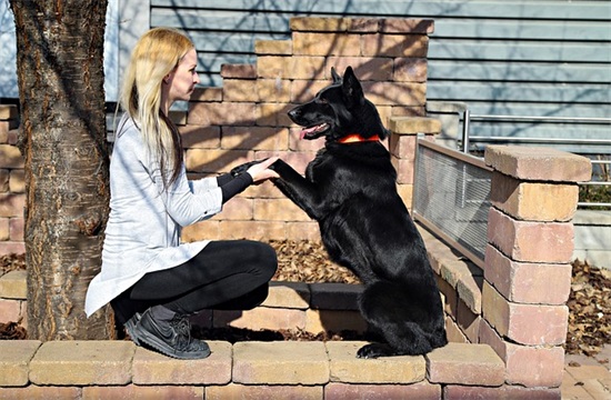 独特文化传媒公司名字410个，文化传媒公司名字怎么取