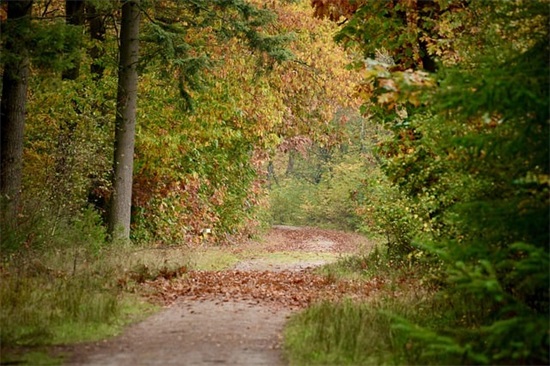 响亮顺口的企业名字390个，新公司起名大全二字参考