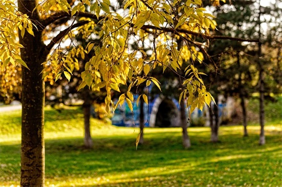 00后网名83句 00后网名83句