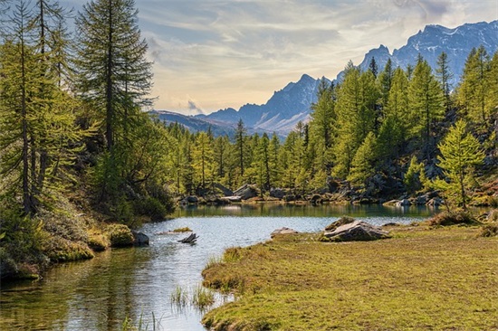 烧烤店名取名大全338个