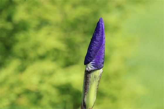 2025元月生的宝宝取名（2025年取名字的宜用字）