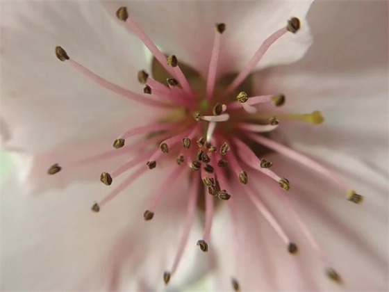 2025年小年腊月二十四出生宝宝起什么名字？（2025年小年腊月二十四出生的宝宝缺