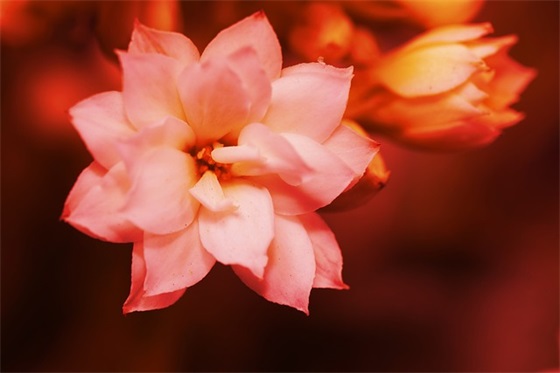 农历初一晚上出生宝宝好吗？（农历初一晚上戌时出生宝宝起名）