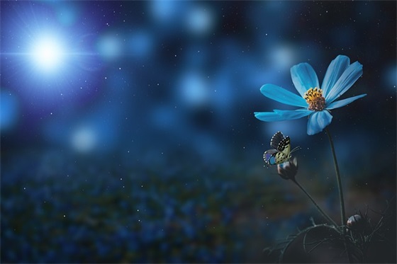 2025年农历腊月二十四日出生男宝宝五行（五行缺水火男宝宝取名用字精选）