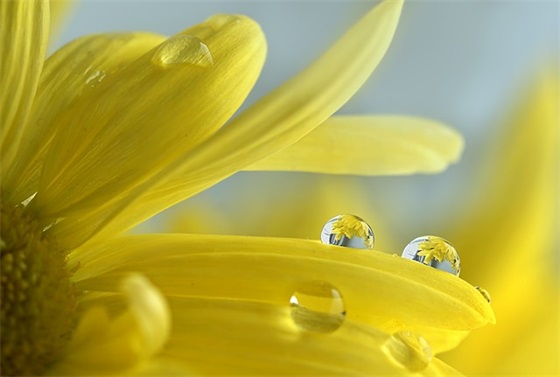 好听的双胞胎宝宝名字大全（虎年双胞胎起名）