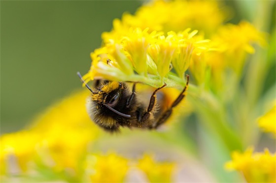 今天出生的缺木火宜用字（今日女宝宝的五行名字）