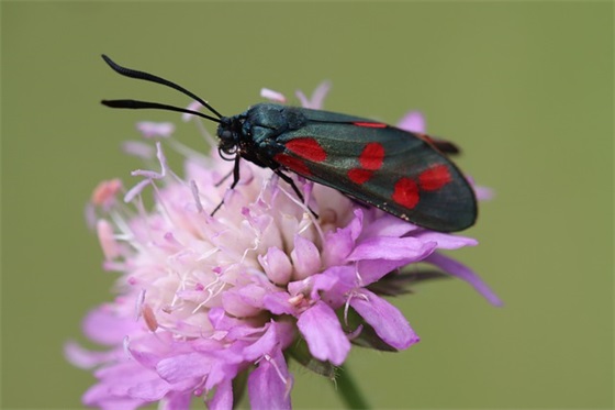 2025年腊月二十日出生的宝宝五行缺什么?(2025年腊月二十日出生的女宝宝五行起 2025年腊月二十日出生的宝宝五行缺什么?(2025年腊月二十日出生的女宝宝五行起