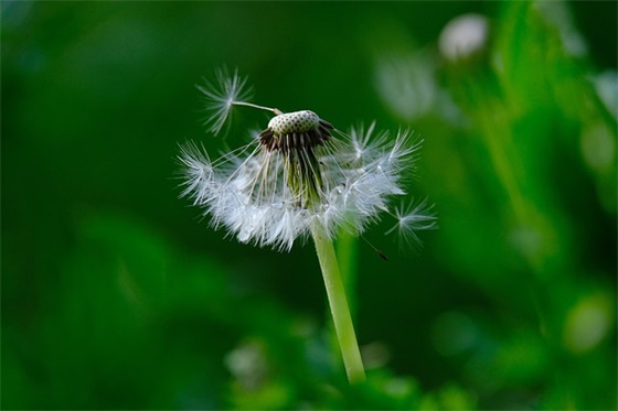女宝宝五行缺水起名用字（五行缺水女宝宝起名精选）