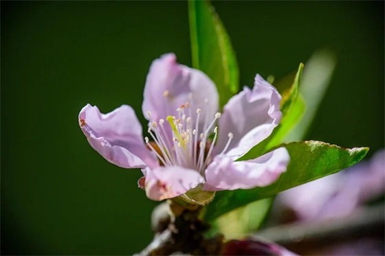 好名字寓意好（龙宝宝适合取什么名字）