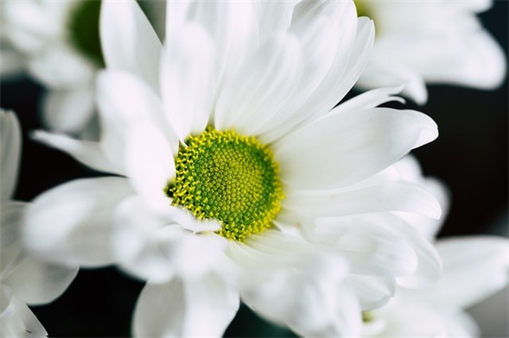 十2025时辰五行简析（这最新大全天的宝宝性格分析）