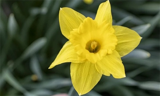 女宝宝如何选择美观又有内涵的名字？（虎年女孩漂亮有涵养的名字）