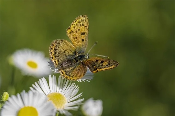 十2025时辰分析（本日出生宝宝性格优缺点）