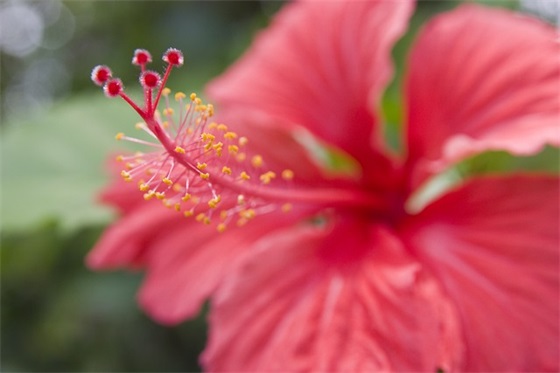 2025年农历十二月二十一日出生男宝宝五行（五行缺木男宝宝起名用字精选）