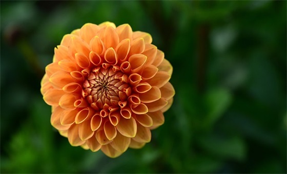 2025年取名字大全女孩 宝宝起名寓意温馨