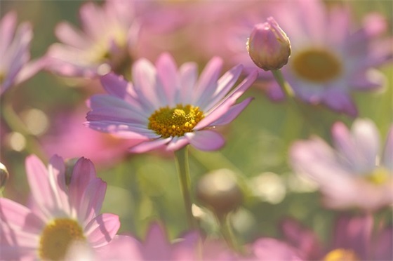 2025年农历七月十九日出生男宝宝五行（五行缺木男宝宝起名用字精选）