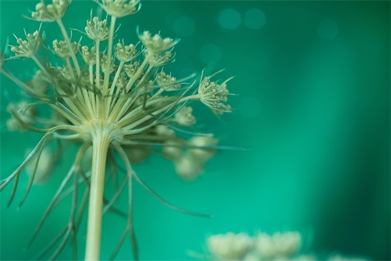 国家安全法宣传简报（精选20篇）