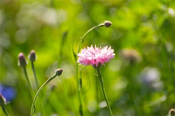 2025年二月二出生的宝宝八字可以取什么名字？（起名易用字有哪些？）