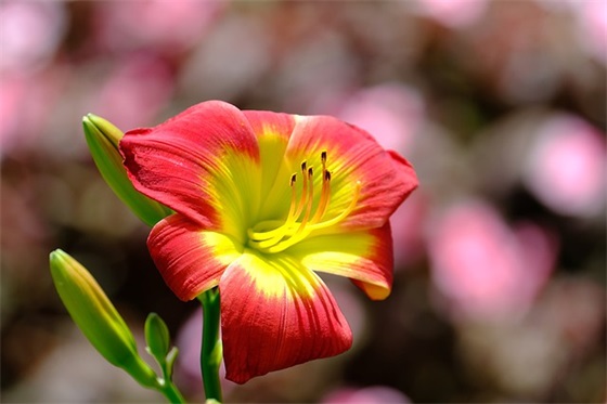 简单好听的公司名字，新注册公司取名字大全