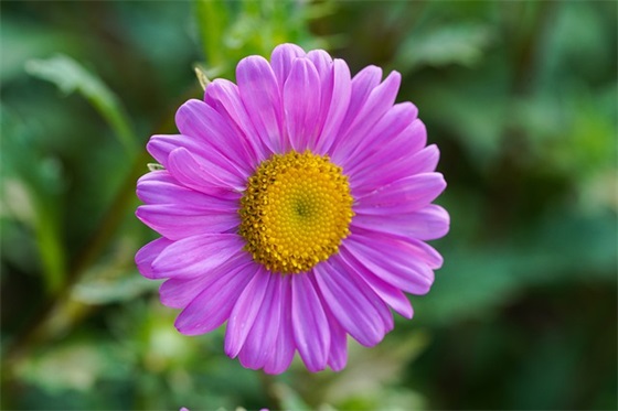 高一英语个人教学工作总结（精选10篇）