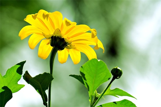 室内装修合同协议书（通用11篇）