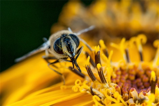带如字怎么取网名女生的