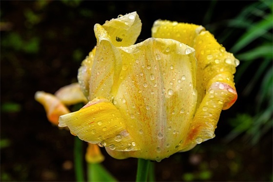 水泥公司取名大全2025 有关的水泥公司名字