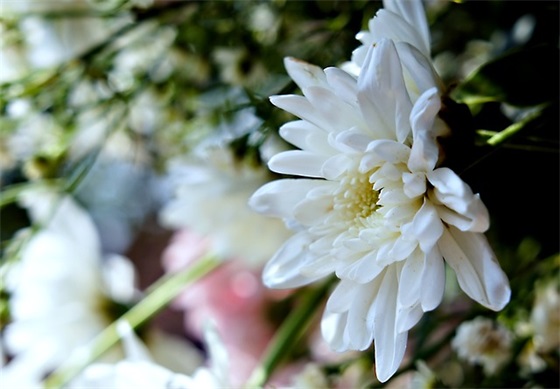 300个好听的公司名字大全,免费吉祥公司名字