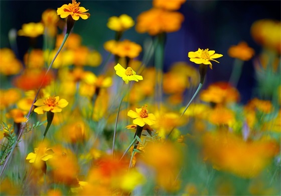 公司名字大全20000个 取公司名称大全简单大气2025